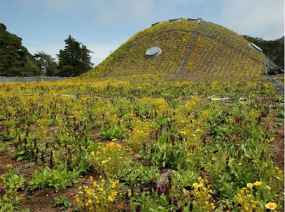 Living Roof Observation Deck