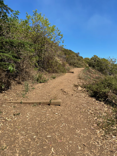 Mount Davidson Paved Path, San Francisco