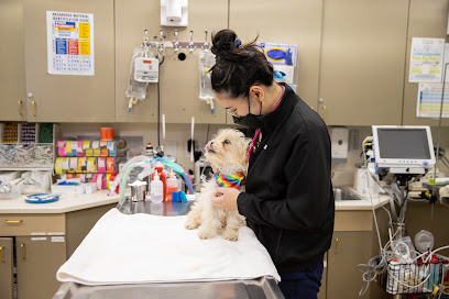 San Francisco Animal Medical Center