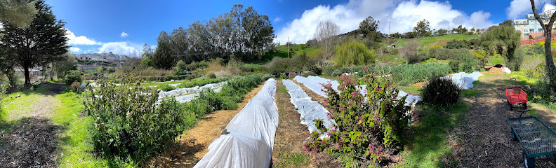 Alemany Farm, San Francisco