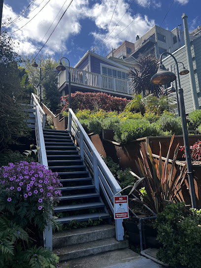 Telegraph Hill viewpoint, San Francisco