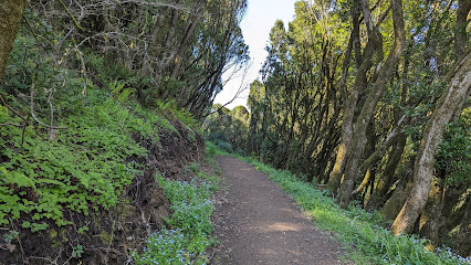 Redwood Creek Trailhead, San Francisco