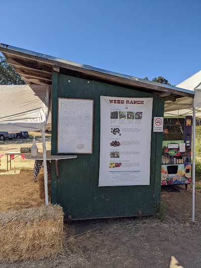 Webb Ranch U-Pick, San Francisco