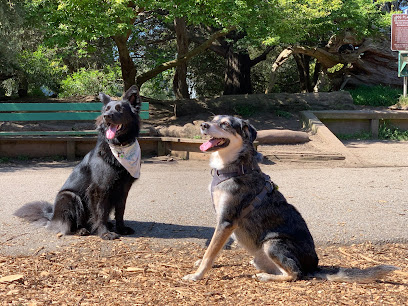 Mountain Lake Park Dog Play Area, San Francisco
