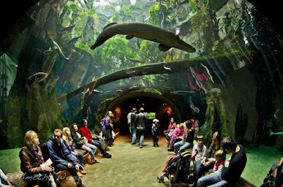 Steinhart Aquarium, San Francisco
