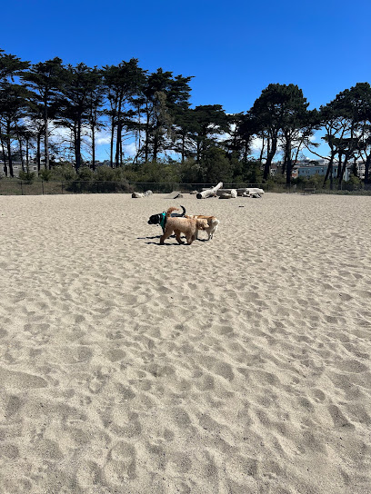 Golden Gate Park Dog Training Area, San Francisco