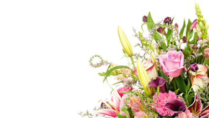 The Botany Shop Florist, San Francisco