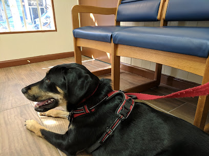 Blue Cross Pet Hospital, San Francisco