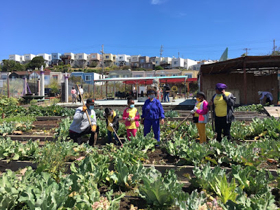 Florence Fang Community Farm, San Francisco