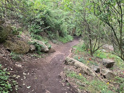 Historic Trail Trailhead, San Francisco