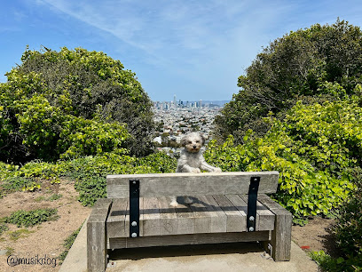 Walter Haas Dog Park, San Francisco