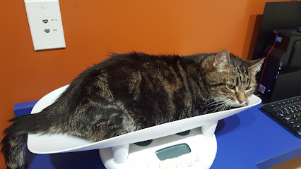 Animal Farm Pet Hospital, San Francisco