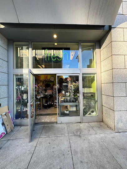 FRESH a floral shop, San Francisco