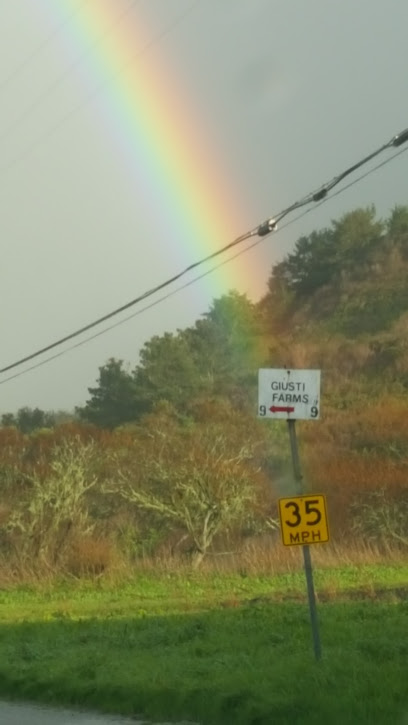 Giusti Farms, San Francisco