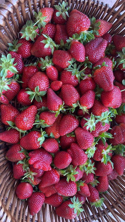 Chao's Strawberries, San Francisco