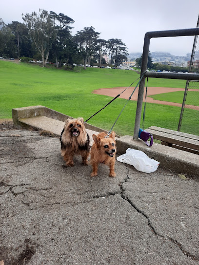 Park Animal Hospital, San Francisco
