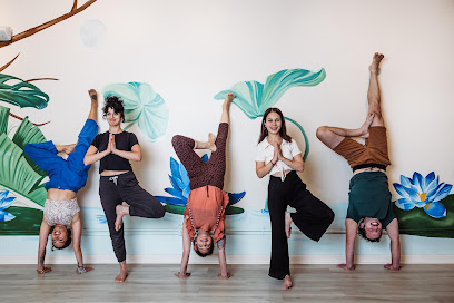 Lotusland Yoga SF, San Francisco