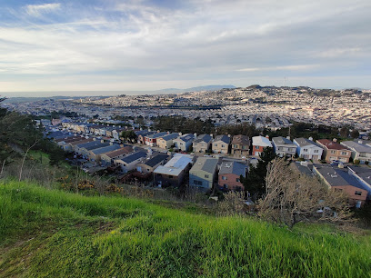 Saddle Loop Trail North Bench, San Francisco