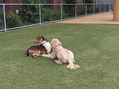 Avalon Dogpatch Dog Park, San Francisco