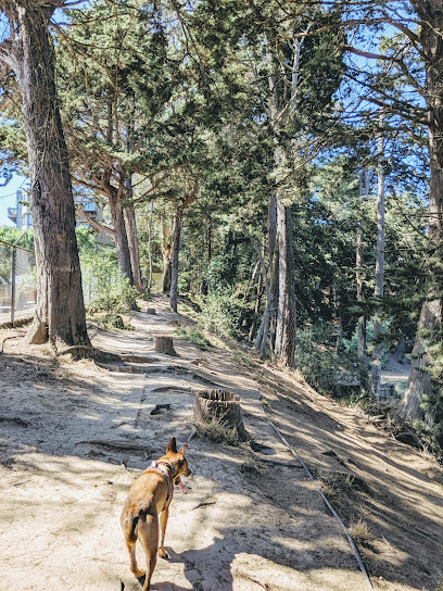 Upper Douglass Dog Play Area, San Francisco
