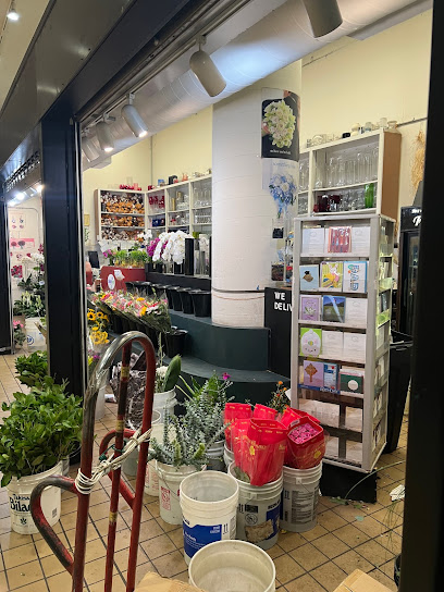 Showcase Flowers, San Francisco