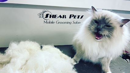Shear Pets Mobile Cat & Dog Grooming salon, San Francisco