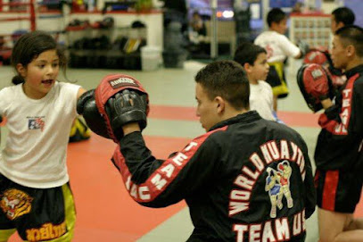 World Team USA Muay Thai BJJ & Fitness, San Francisco