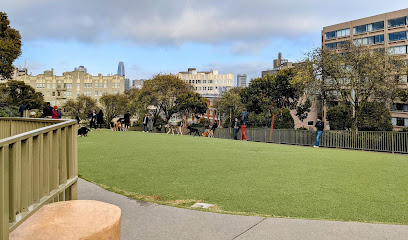 Lafayette Park Dog Play Area, San Francisco