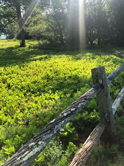 Wrights Cove Farm
