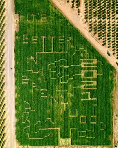 Three Nunns Farm, San Francisco