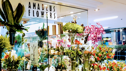 Amadeus Flowers, San Francisco