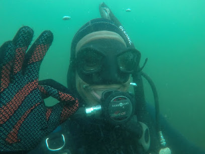Bay Area School Of Diving, San Francisco