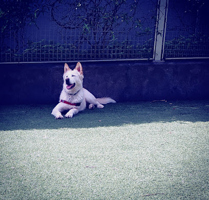 SoMa West Dog Park, San Francisco