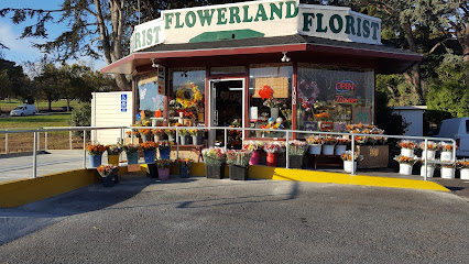 Flowerland Floral Shop, San Francisco