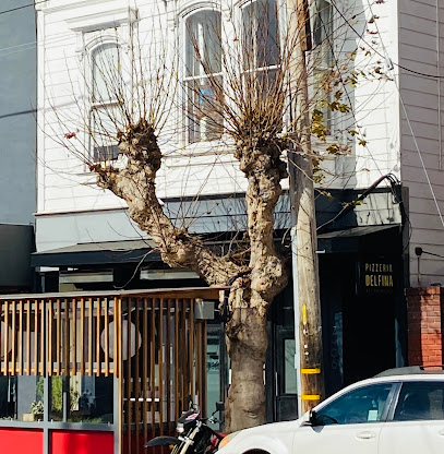 Pizzeria Delfina - Pacific Heights, San Francisco