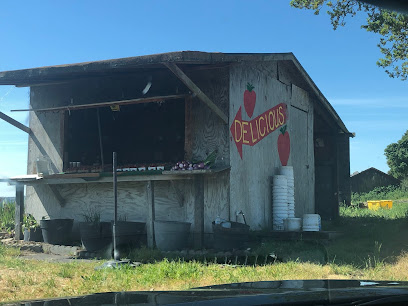 Stony Point Strawberry Farm, San Francisco