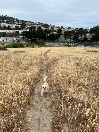Dog Play Area | McLaren Park, San Francisco
