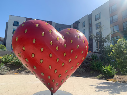San Francisco Campus for Jewish Living