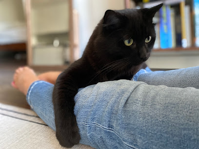 Meowtel, San Francisco