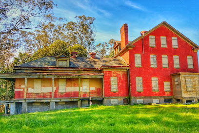 Angel Island East Bay Campsites