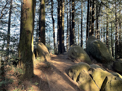 Redwood Peak