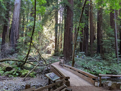 Muir Woods National Monument