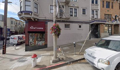 Professional Window Tinting