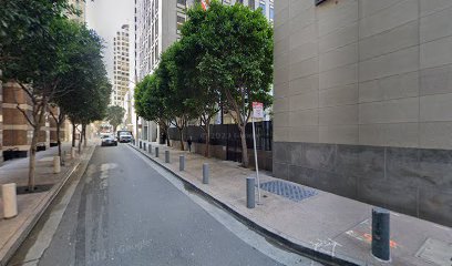 Severe Chopper Tree Trimming Service
