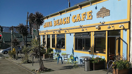 Java Beach At The Zoo