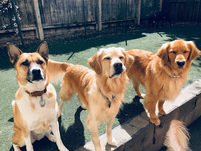 The Grateful Dog