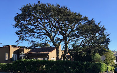 Evergreen Tree & Gardening Service