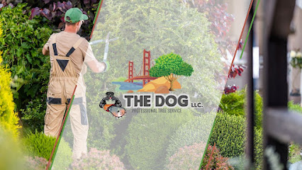 The Dog Tree Service LLC