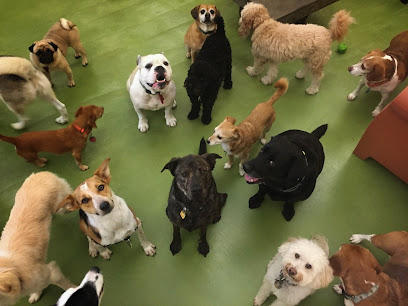 Mr. Muggles' Dogs