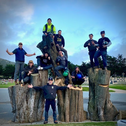 CC Tree Design